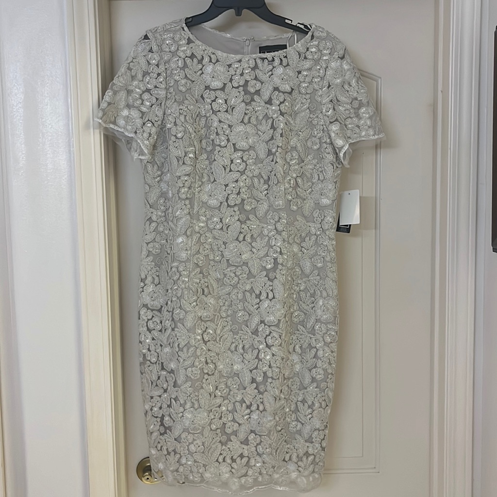 Nwt Ivory Embroidered Overlay Dress